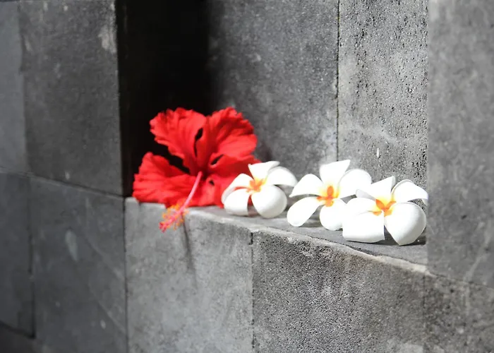 Villa Bali Marina Villa's - *