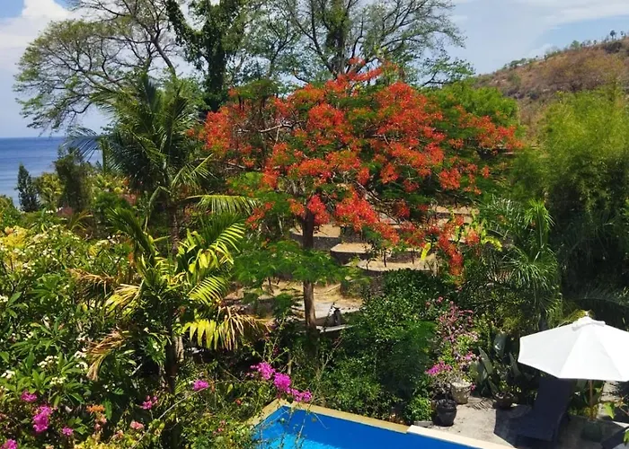 Bali Marina Villa's - Amed