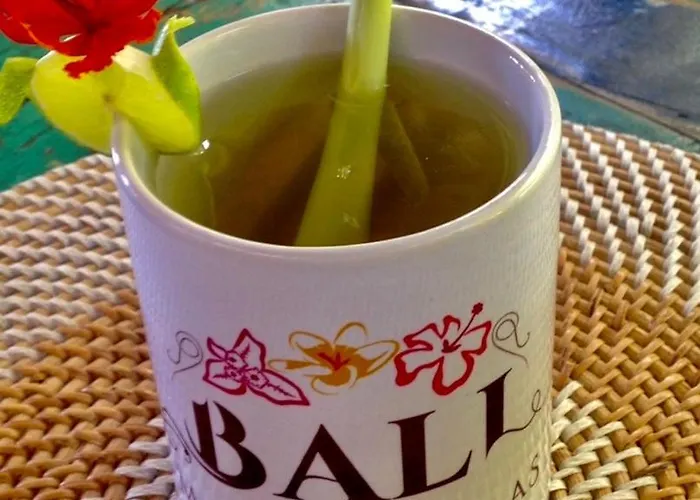 Bali Marina Villa's - Villa Amed